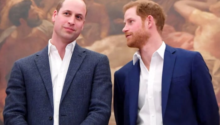 Andrés had closely collaborated with the Sussexes, has joined the judging panel for William’s Earthshot Prize