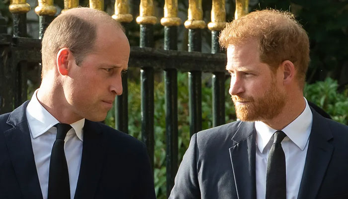 Diana’s family sets plans for Prince Harry, William reunion in motion