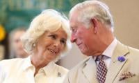 Queen Camilla Bags Special Title As King Charles Health Improves