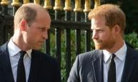 Diana’s Family Sets Plans For Prince Harry, William Reunion In Motion