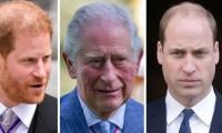 Harry Praised King Charles While William Remained Silent On Father's Role