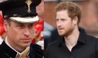 Prince Harry Reflects On 'loneliness, Substance Struggles' During William's Absence