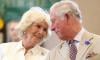 Queen Camilla bags special title as King Charles health improves