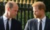 Diana’s family sets plans for Prince Harry, William reunion in motion