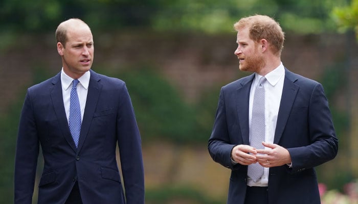 Prince William, Prince Harry ‘ready for reconciliation’ after brief meeting