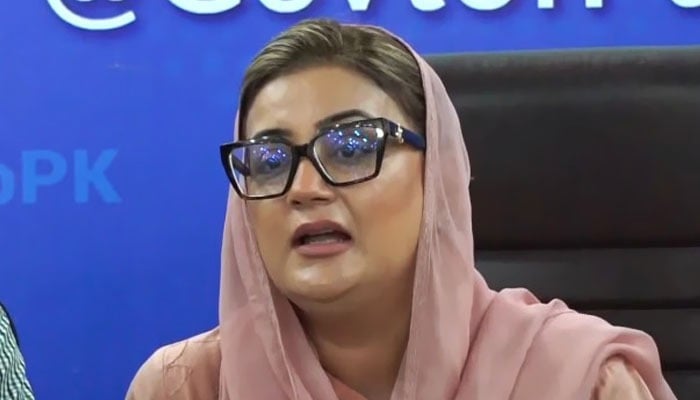 Punjab Information Minister Azma Bokhari addresses the press conference in Lahore on September 8, 2024. — Screengrab via Geo News