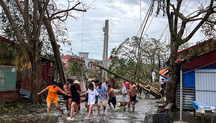 People use ropes to remove fallen trees following the impact of Typhoon Yagi, Hai Phong, Vietnam on September 8, 2024. — Reuters