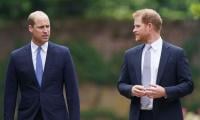 Prince William, Prince Harry ‘ready For Reconciliation’ After Brief Meeting 