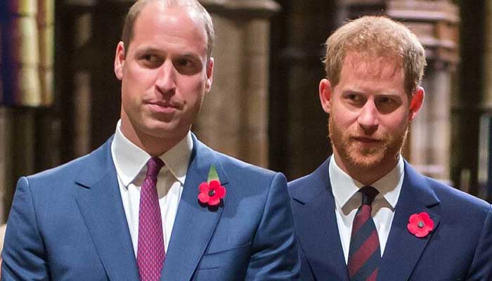 Prince William, Harrys meeting in secret bomb-proof shelter: Details inside