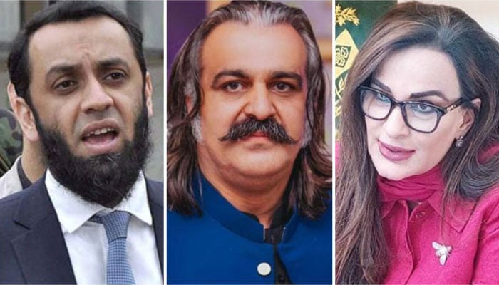 (From left) A collage of federal Minister for Information Attaullah Tarar, KP CM Ali Amin Gandapur and PPP Senator Sherry Rehman. — APP/X/@ClimateChangePK/@PTI