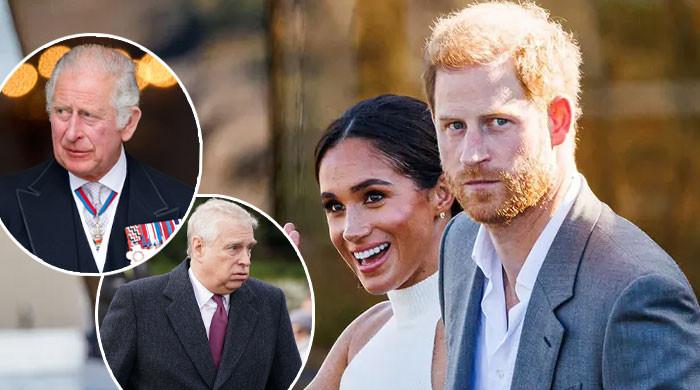 Prince Harry, Meghan reaction to Prince Andrew, King Charles feud laid bare