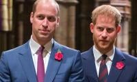 Prince William, Harry's Meeting In Secret Bomb-proof Shelter: Details Inside