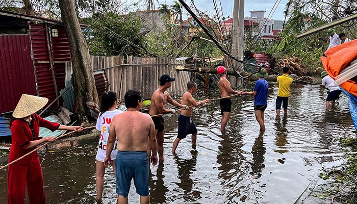 People remove fallen trees following the impact of Typhoon Yagi, in Hai Phong, Vietnam, September 8, 2024. — Reuters