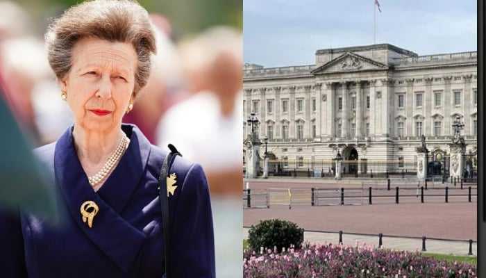 Buckingham Palace confirmed that the Princess Royal will represent the King in The Netherlands