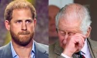 Prince Harry Issues Emotional Statement About Fatherhood 