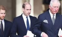 William 'wanted To Reconcile With Harry' On His Own, Not Under King Charles' Orders