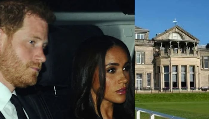 Palace insiders reveal candid details about Harry and Meghans decision to step down