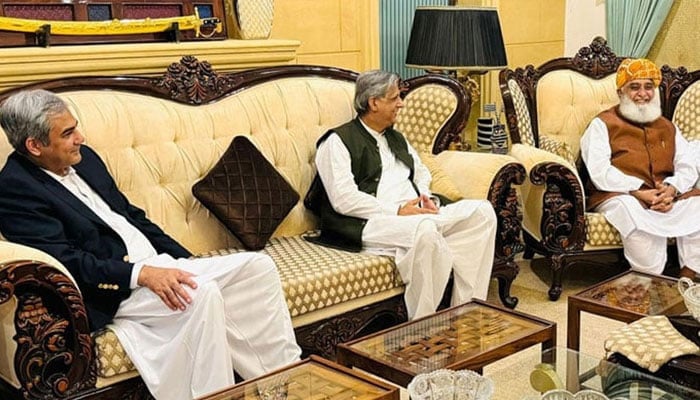 Government delegation led by Deputy Prime Minister Ishaq Dar meets JUI-F chief Maulana Fazlur Rehman in Islamabad on September 15, 2024. — Radio Pakistan