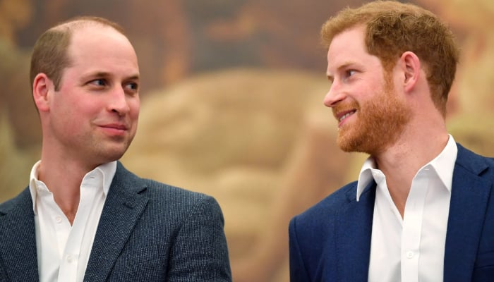 Prince William delights fan with rare Prince Harry birthday revelation