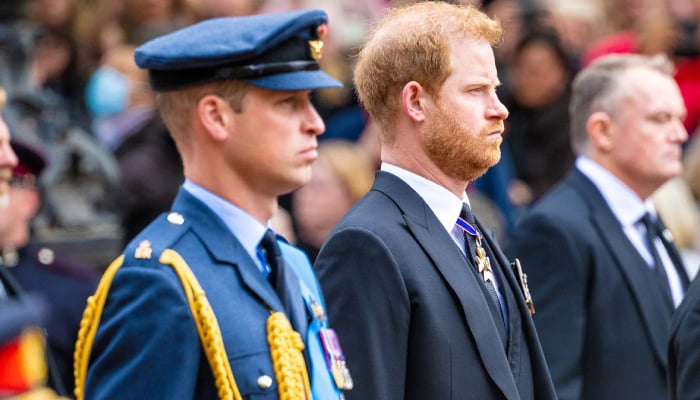 Prince Harry aims to strengthen ties with royal family on milestone event