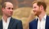 Prince William delights fans with rare Prince Harry birthday revelation