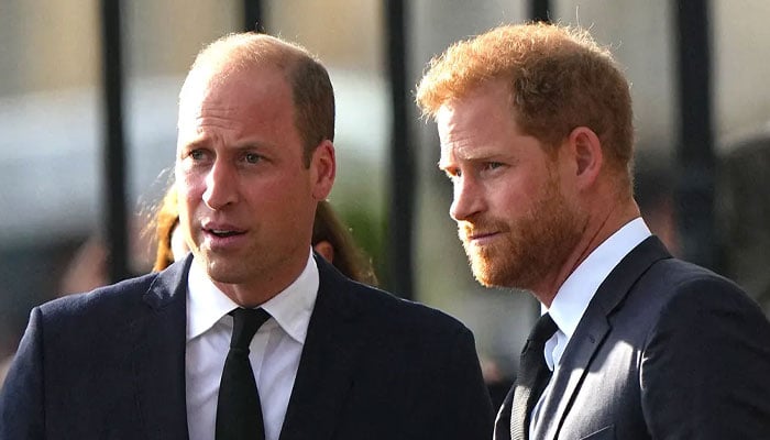 Prince William reveals true feelings over Prince Harry reunion