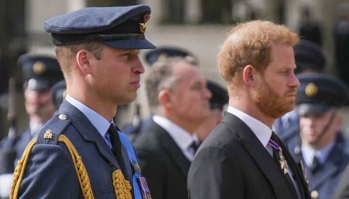 Prince William leans on close relative amid major shift in Prince Harry rift