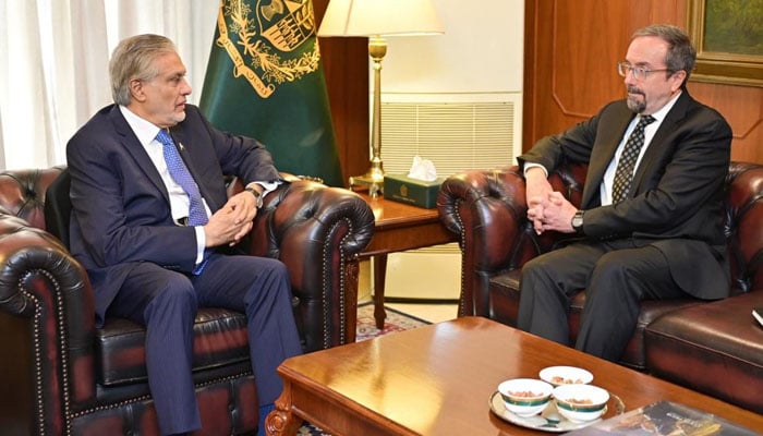 Deputy Prime Minister Ishaq Dar meets with US Under Secretary of State John Bass at his office in Islamabad. — Foreign Office