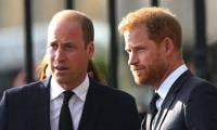 Prince William Reveals True Feelings Over Prince Harry Reunion