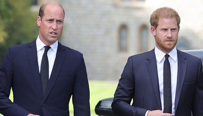 Prince William breaks silence over reunion plans with Prince Harry