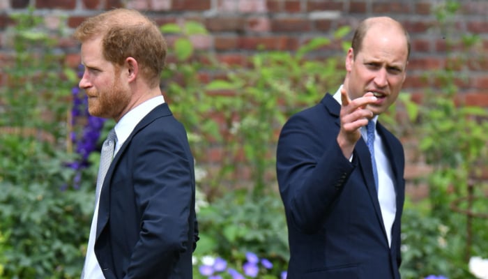 Shocking details about Prince William, Harrys relationship revealed