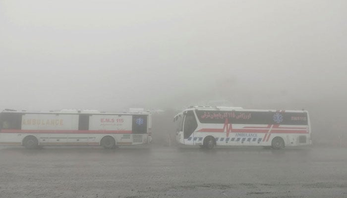 A representational image showing buses in Iran. — Reuters/File