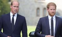 Prince William Breaks Silence Over Reunion Plans With Prince Harry