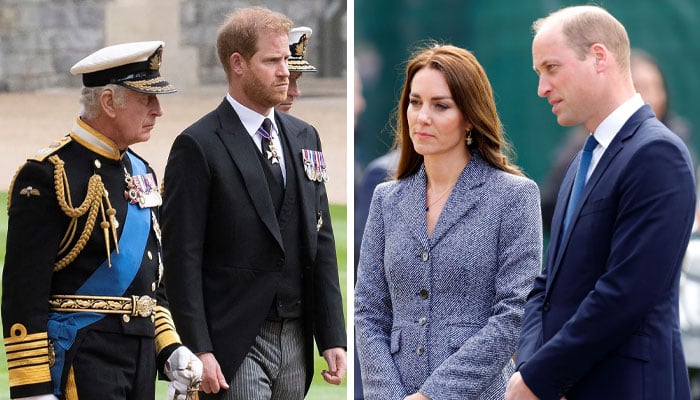 Prince William, Kate ‘dutifully’ accept King’s succession plans for Harry