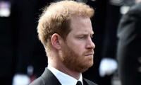 Prince Harry, Meghan Markle Take On Key Role