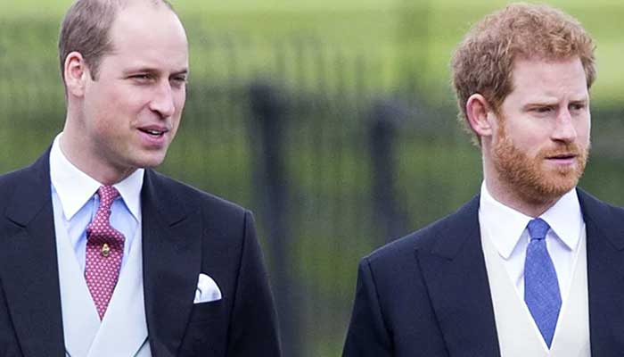 Prince William excites Britons with plans as Harry decides to return to UK