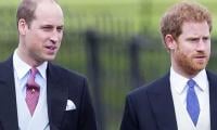 Prince William Excites Britons With Plans As Harry Decides To Return To UK