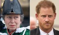 Princess Anne's Emotional Question To Prince Harry After He Missed Queen's Funeral