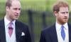 Prince William excites Britons with plans as Harry decides to return to UK