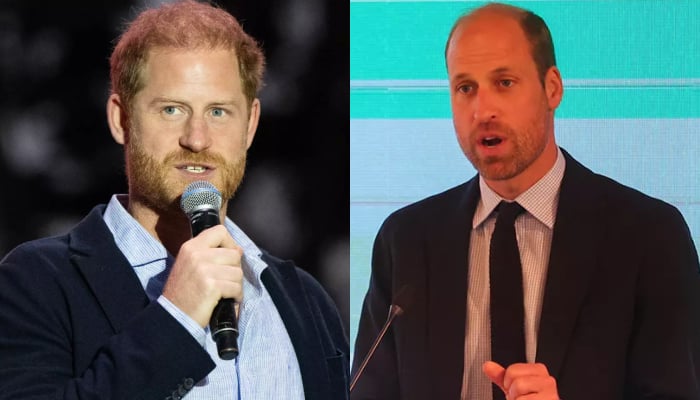 Prince Harry reclaims spotlight from Prince William in new outing