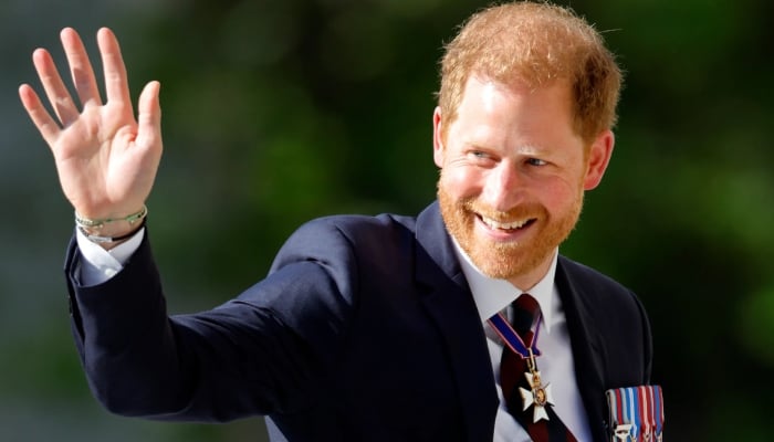 Prince Harry rubs shoulder with eminent royal figure in Meghans absence