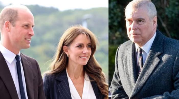 Prince Andrew’s situation could serve as warning for other royals