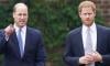 Prince William makes big sacrifice for Prince Harry