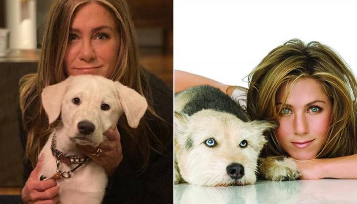 The Friends star will also release a four-part childrens book inspired by her dogs