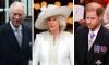 Is Queen Camilla the one preventing King Charles from meeting Harry?