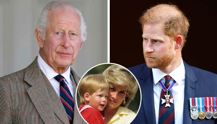 Princess Diana’s pal slams King Charles’ cruel claims about Prince Harry