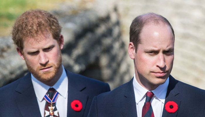 Prince William decides Prince Harry’s royal future ahead of UK trip