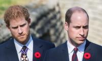 Prince William Decides Prince Harry’s Royal Future Ahead Of UK Trip