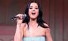 Katy Perry's 'bizarre' performance sparks online debate