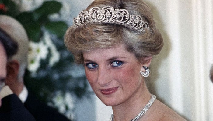 Princess Diana’s ex-bodyguard reveals new shocking details of her death